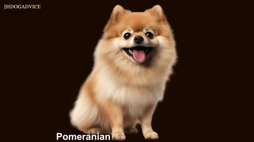 20 Popular Dog Breeds in Indian Families