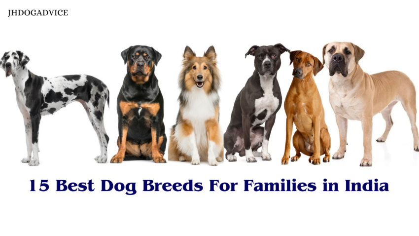 15 Best Dog Breeds For Families in India