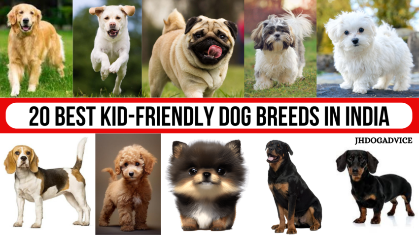 20 Best Kid-Friendly Dog Breeds in India